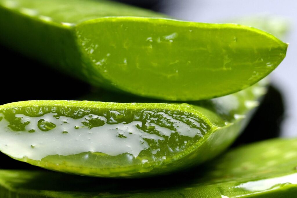 The benefits of Aloe Vera on your skin!
