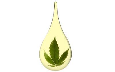 Body Butter Cannabis Oil - Βούτυρο Σώματος με Έλαιο Κάνναβης - venussecrets.com