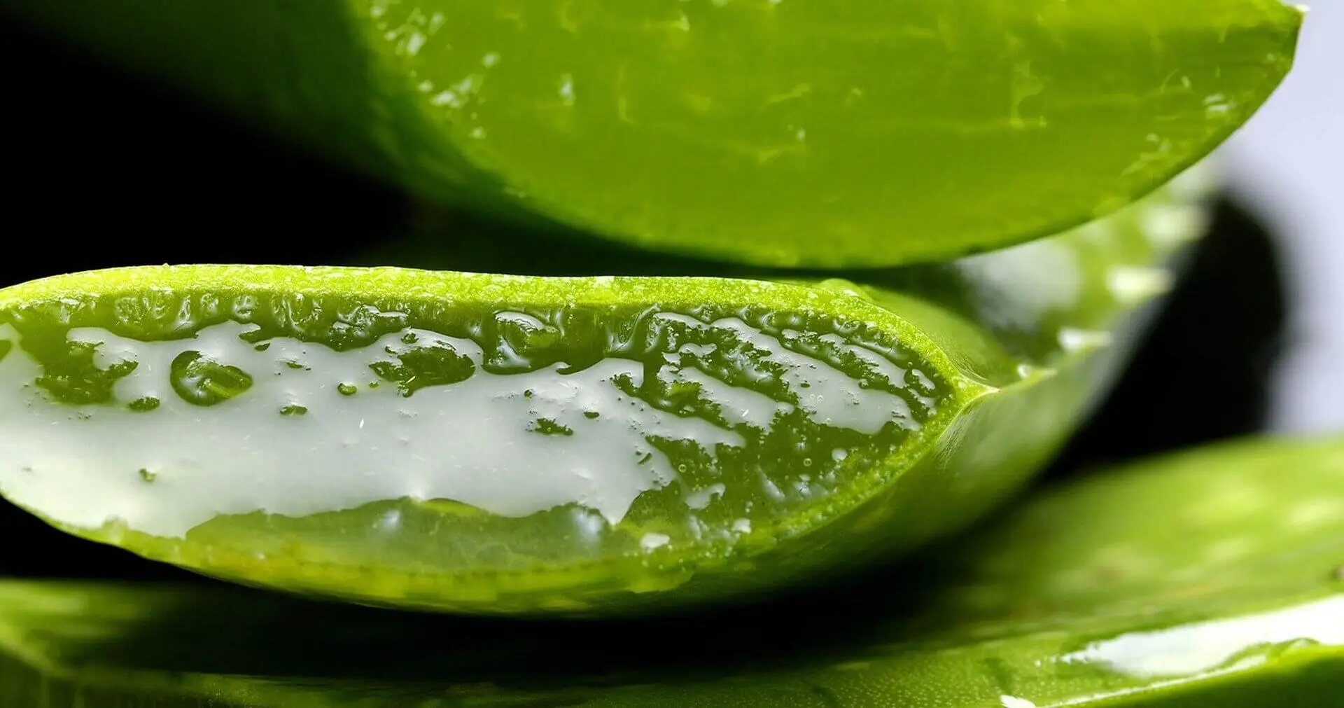 The-benefits-of-Aloe-Vera-on-your-skin