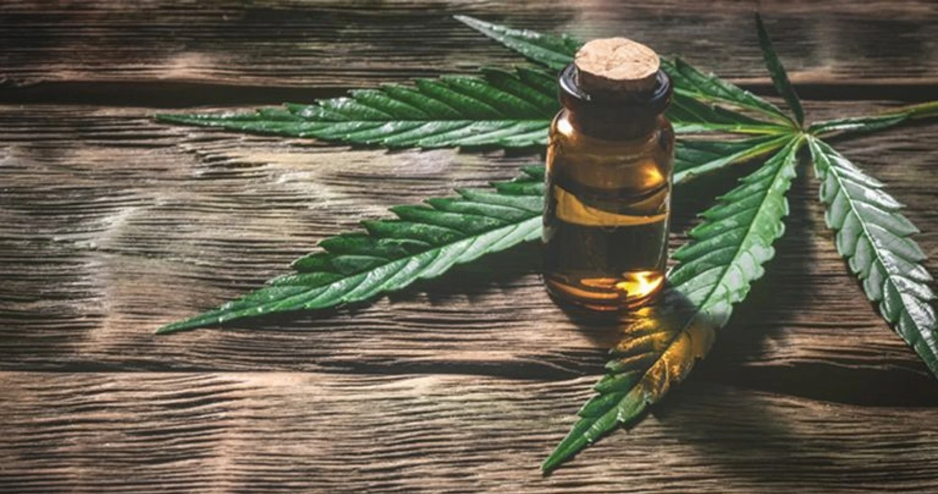 Cannabis Oil skin care